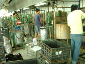 深圳市平湖海利豐塑膠制品廠 專注塑料制品，鑄就品質未來